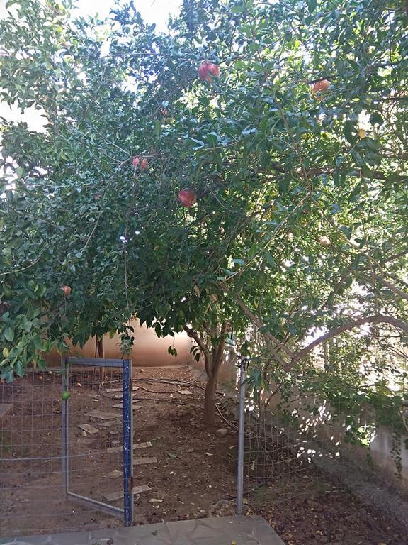 Rodi House Διαμέρισμα Ναύπλιο Εξωτερικό φωτογραφία